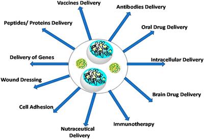 Protein-Based Nanohydrogels for Bioactive Delivery